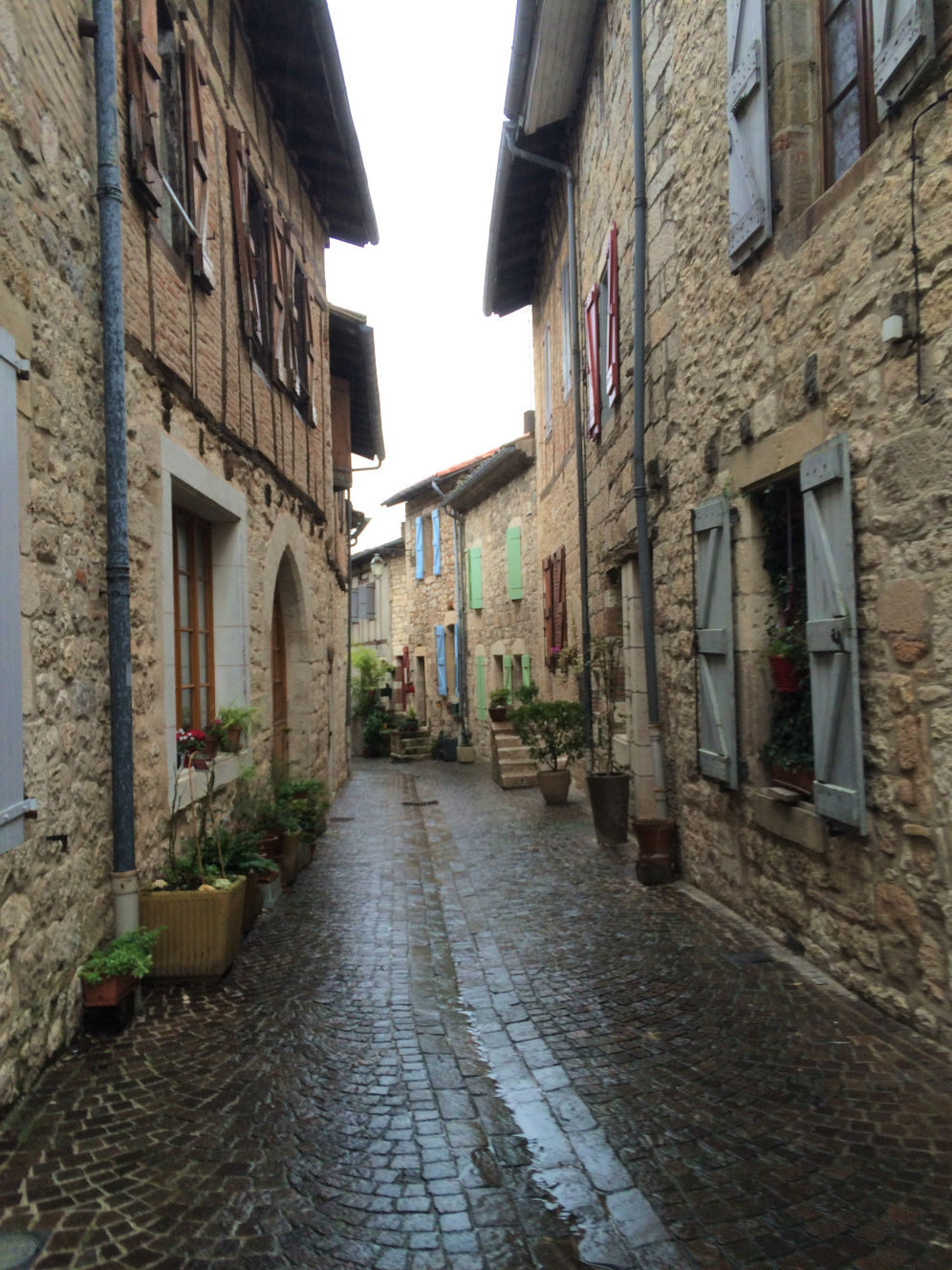 Castelnau de Montmirail
