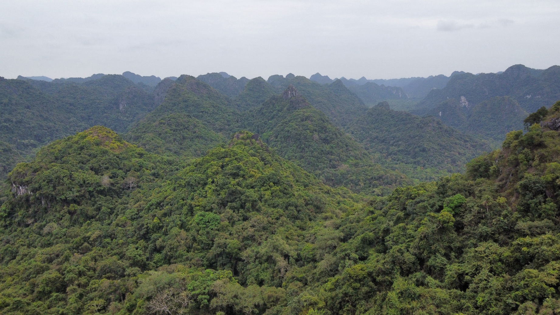 Les paysages du parc national de Cat Ba vus de drone