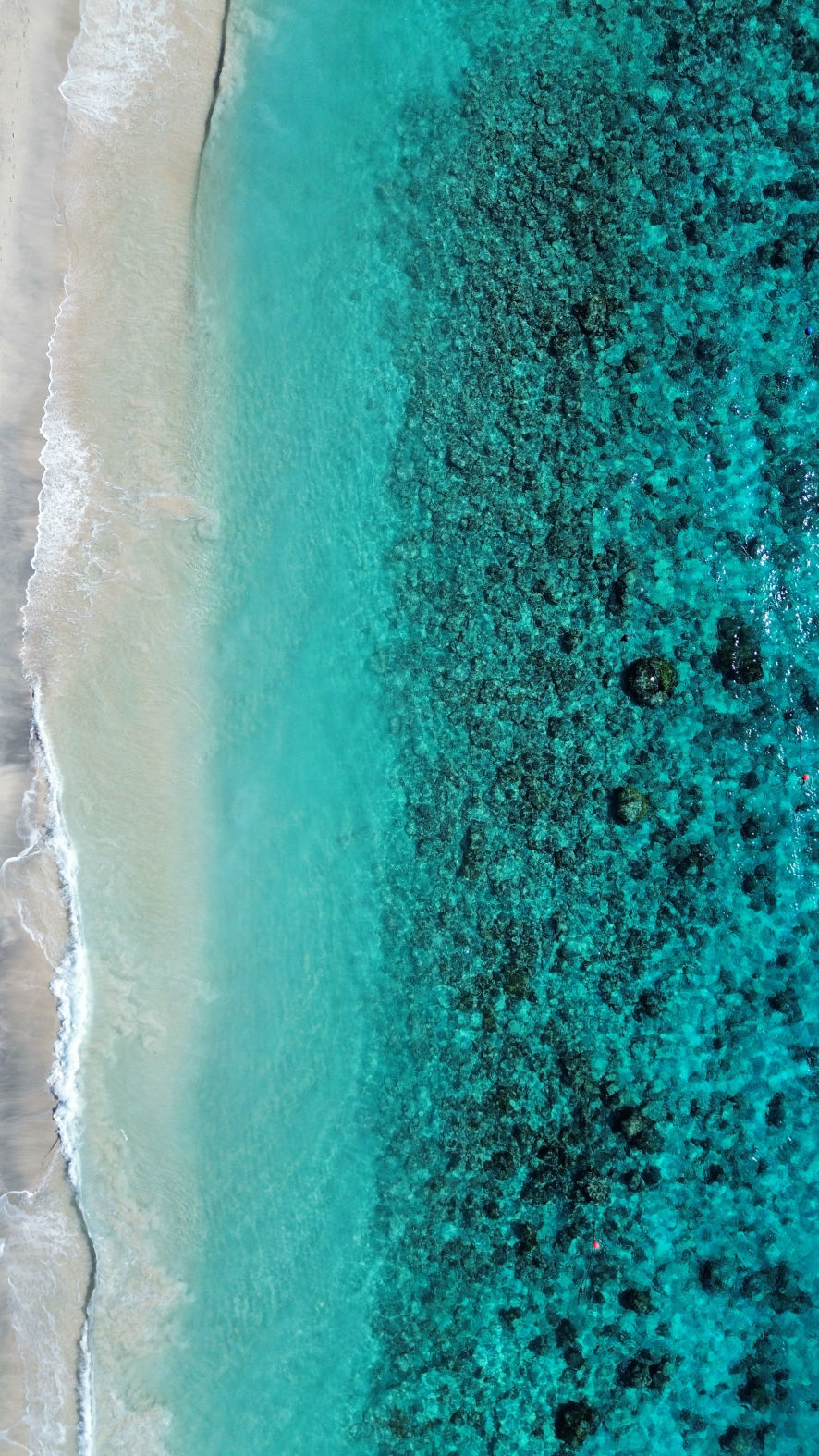La beauté des plages de Gili Trawangan