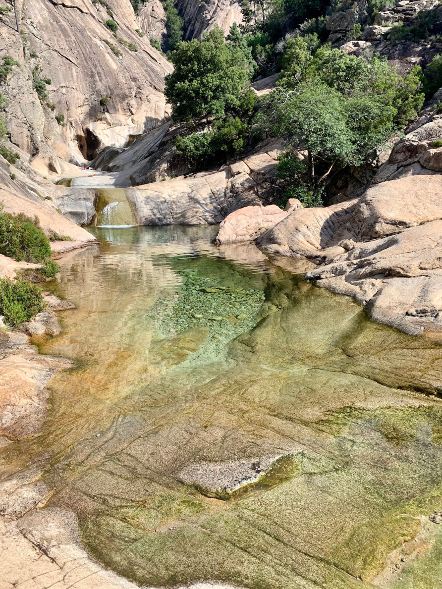 Le début des piscines naturelles