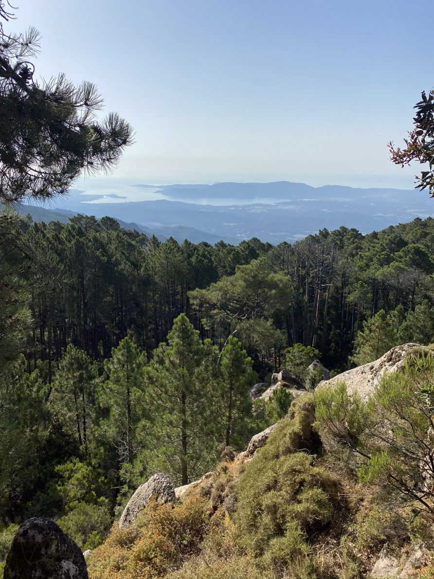 Réveil en douceur avec vue sur la baie de Porto-Vecchio