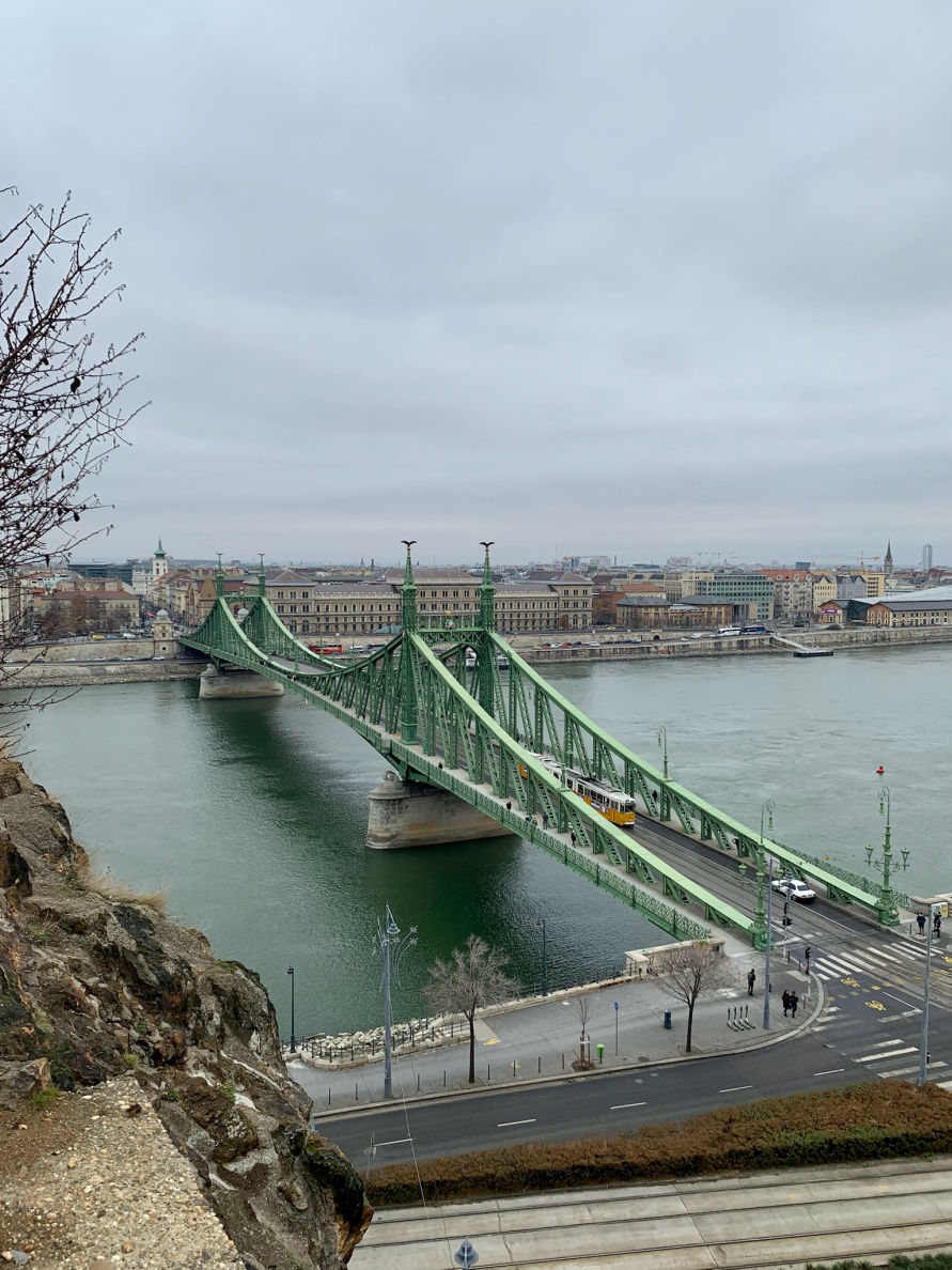 La vue depuis le Le Mont Gellert sur le Pont des Libertés