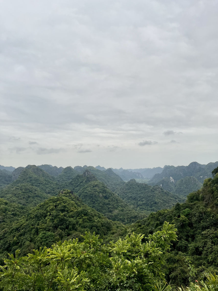 Le parc national de Cat Ba
