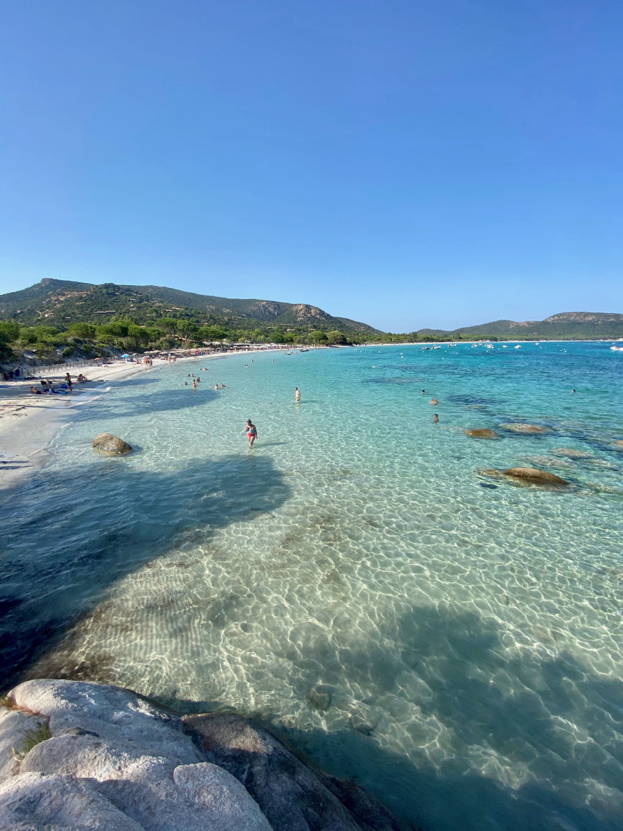 La plage Palombaggia à Porto-Vecchio