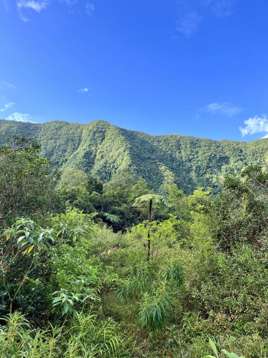 Randonnée au Grand Étang