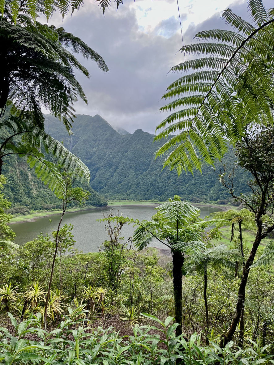 Grand Étang, un lac volcanique