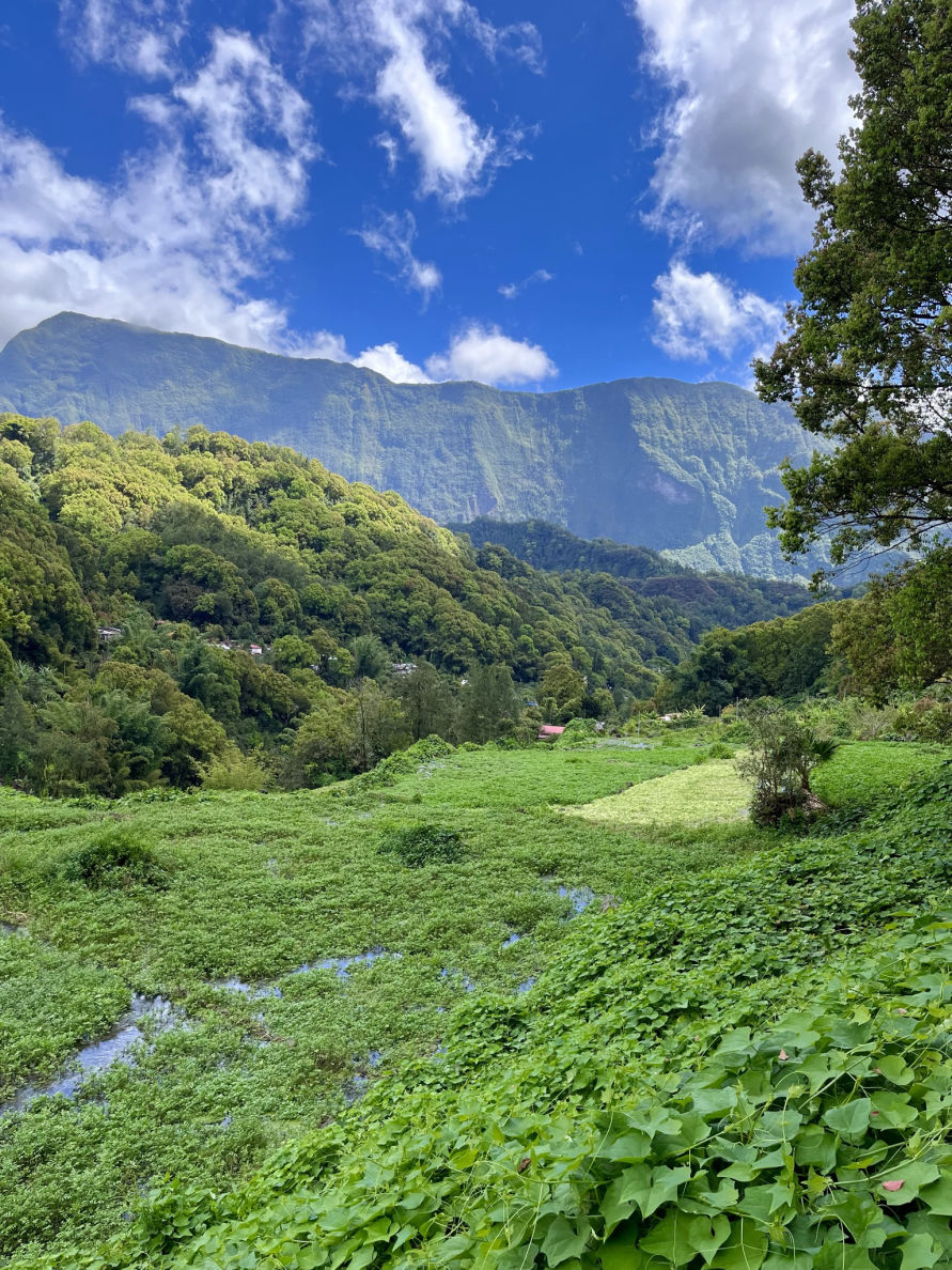 Les chutes d'eau à Salazie