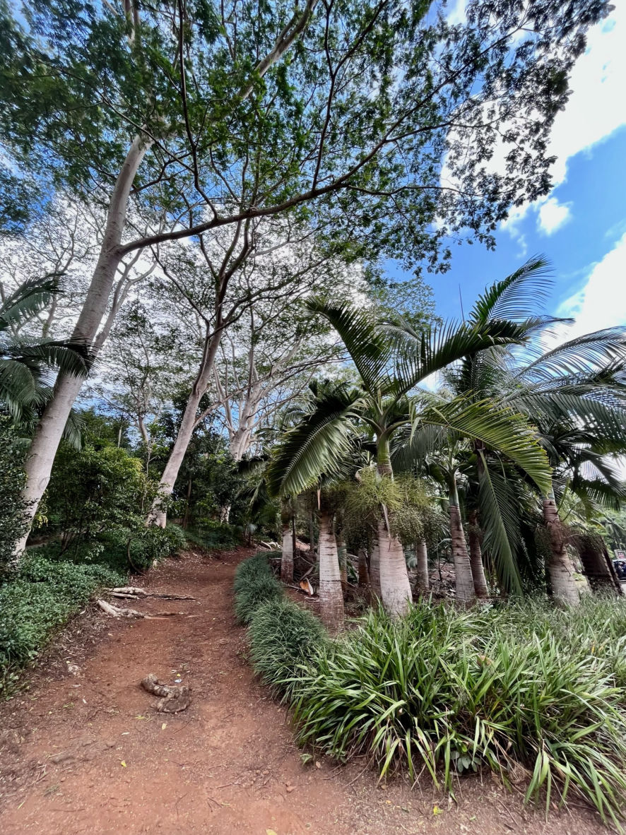 Le Parc Chamarel