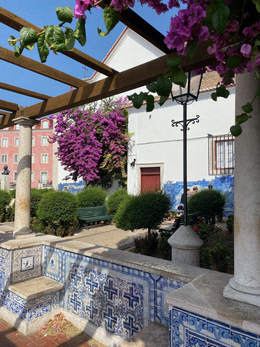 Sous les bougainvilliers du Mirador de Santa Luzia