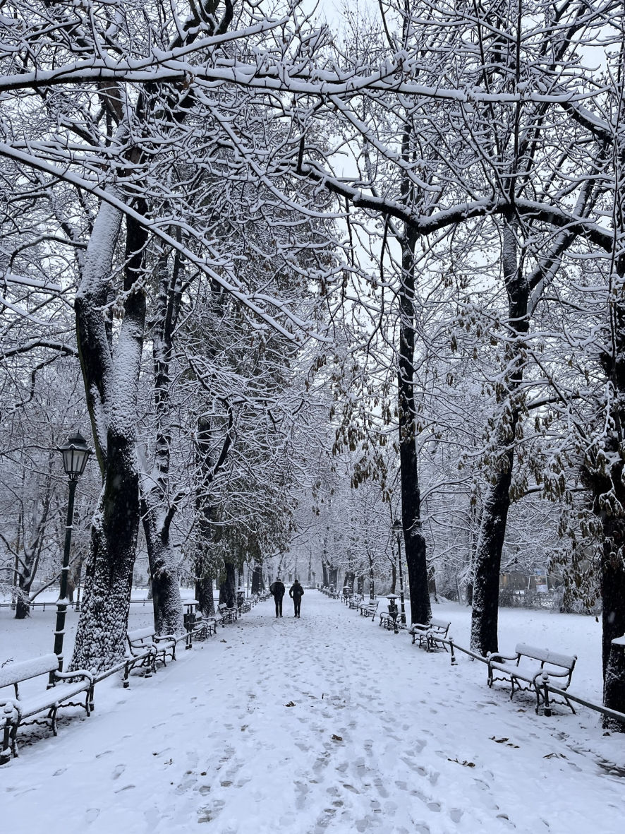 Le parc Planty à Cracovie sous la neige