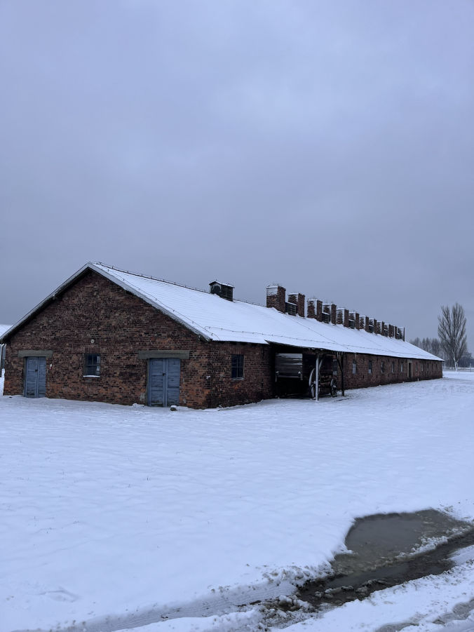 Auschwitz-Birkenau, le plus grand camp de concentration et d'extermination du Troisième Reich