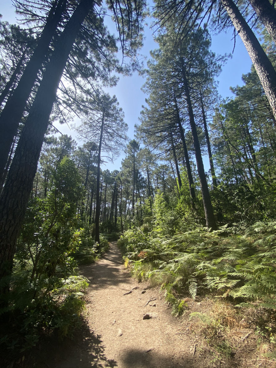 Randonnée vers la cascade Piscia Di Gallu