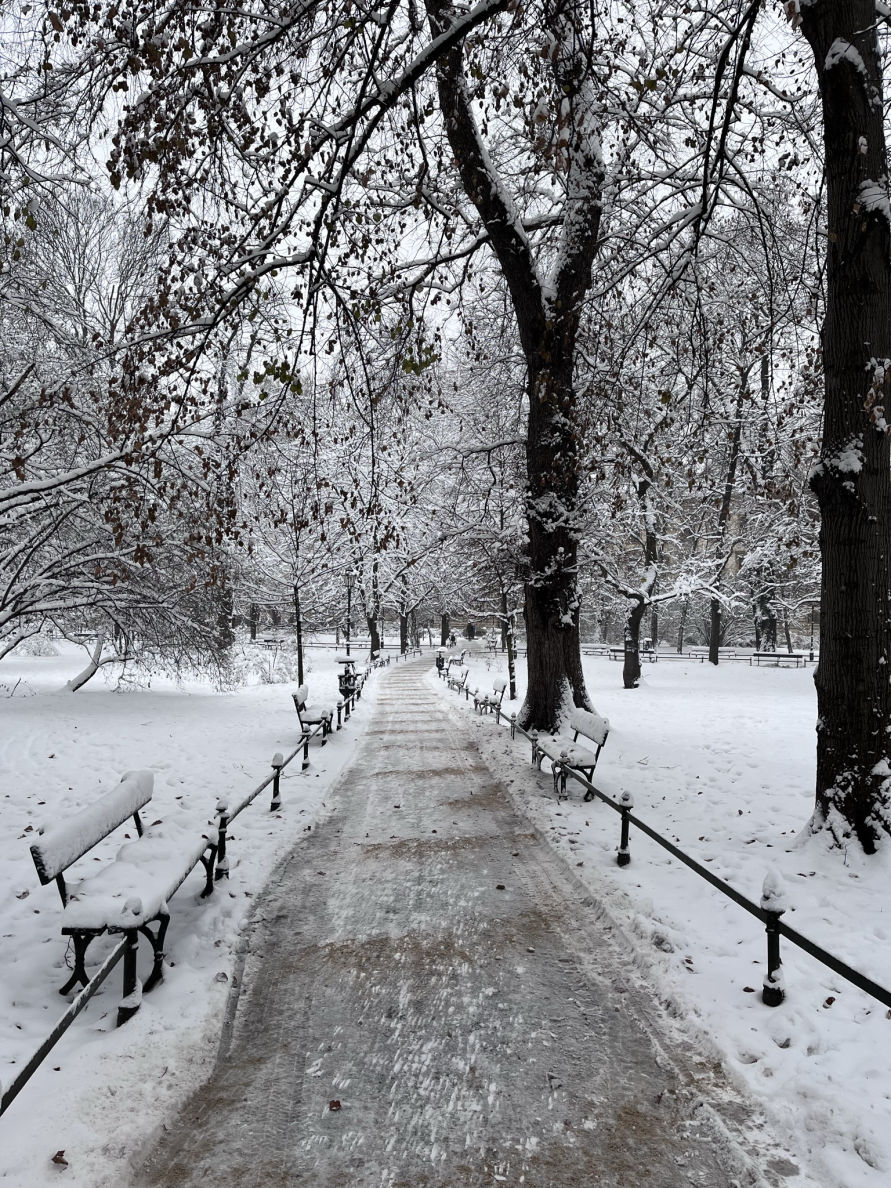 Le parc Planty enneigé