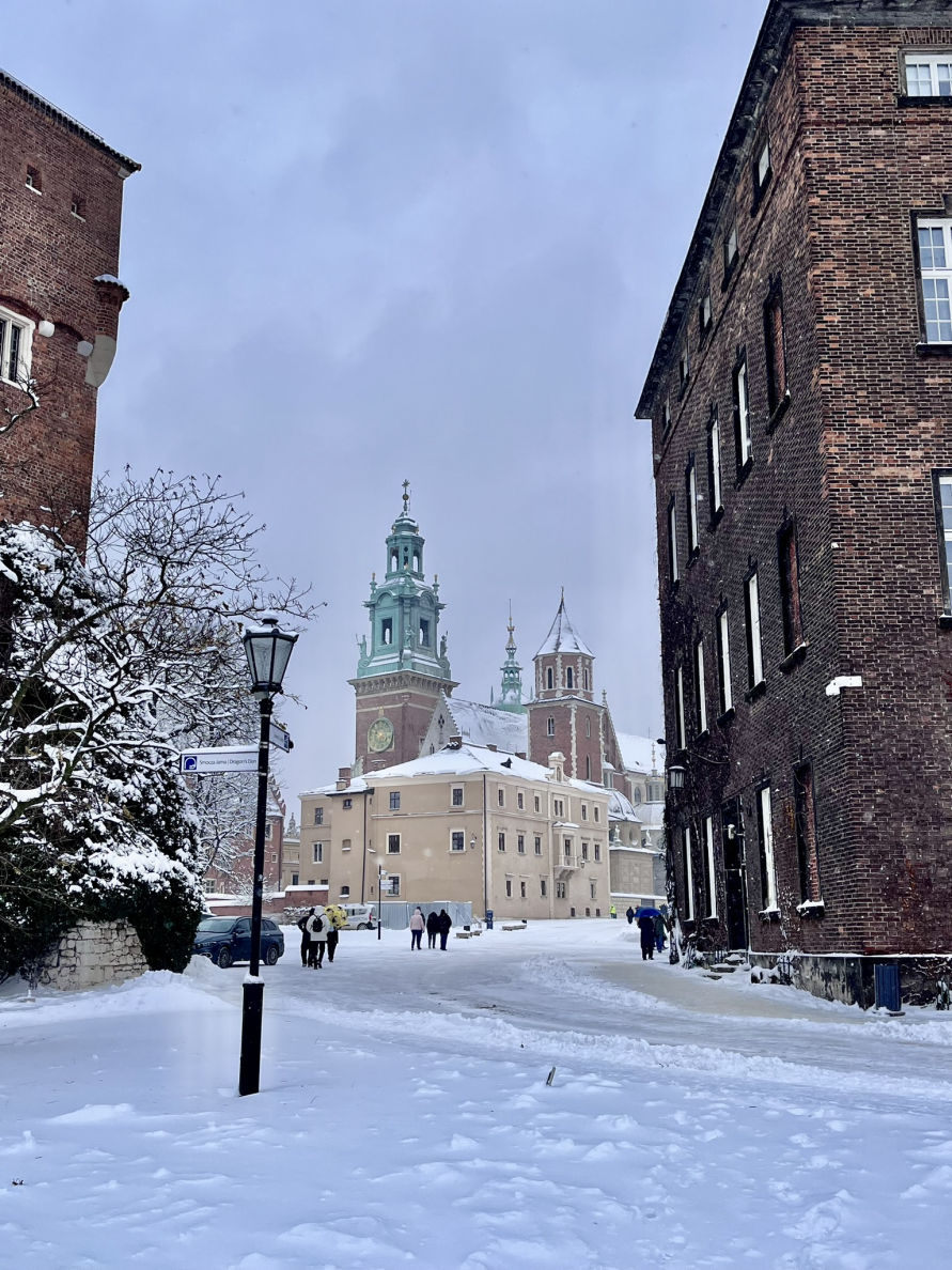 La Cathédrale et le Château du Wawel sous la neige
