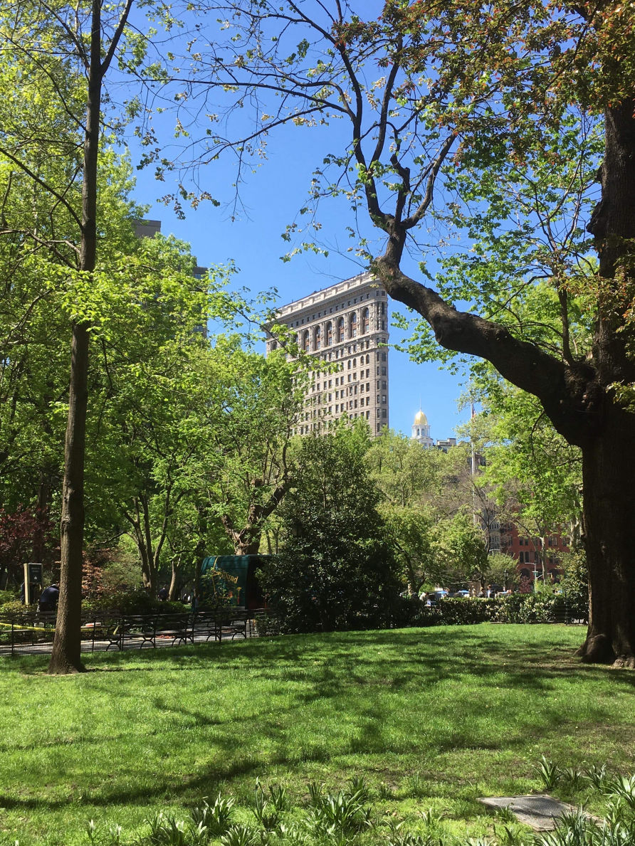 Le Flat Iron Building