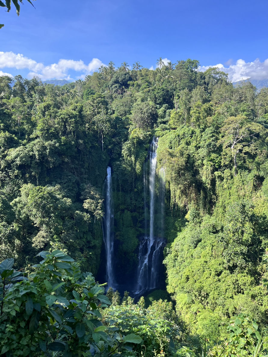 Sekumpul waterfall dans le nord de Bali