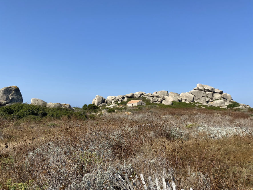 Une île sauvage