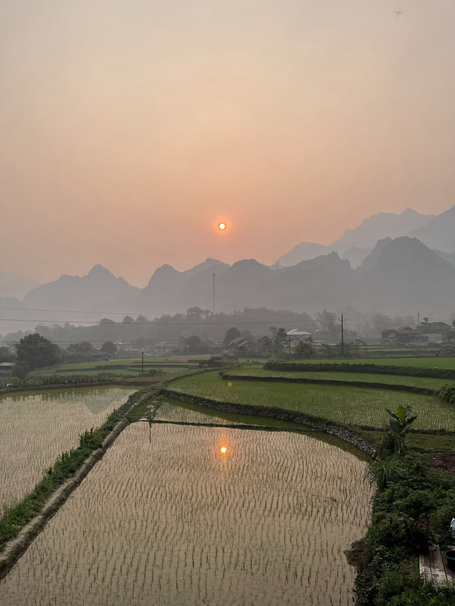Lever de soleil sur les rizières