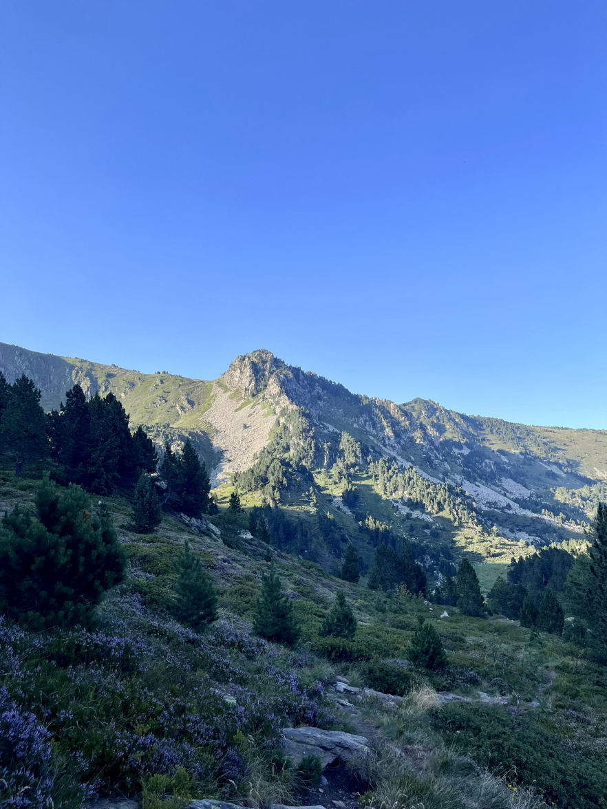 Descente vers le dernier étang