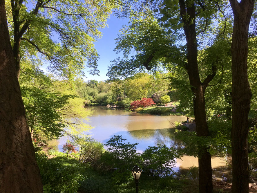 Central Park