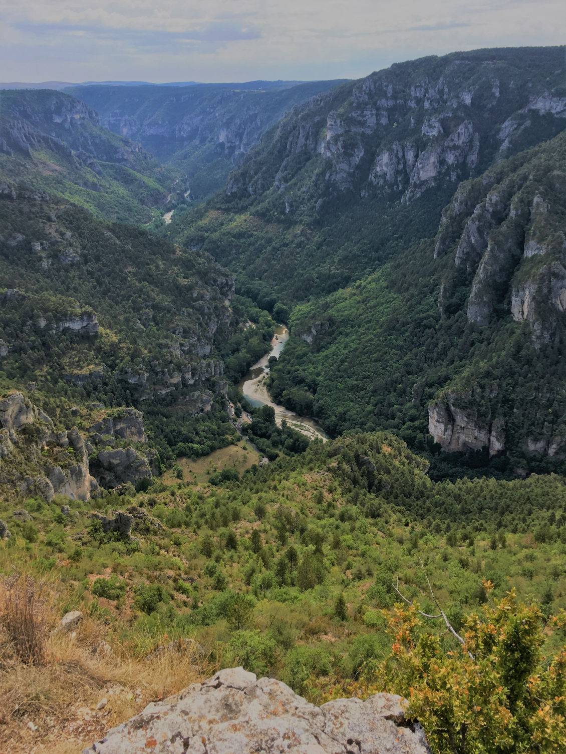Vue depuis le point sublime sur les gorges du Tarn