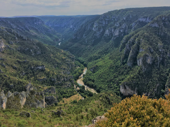 Vue depuis le point sublime sur les gorges du Tarn