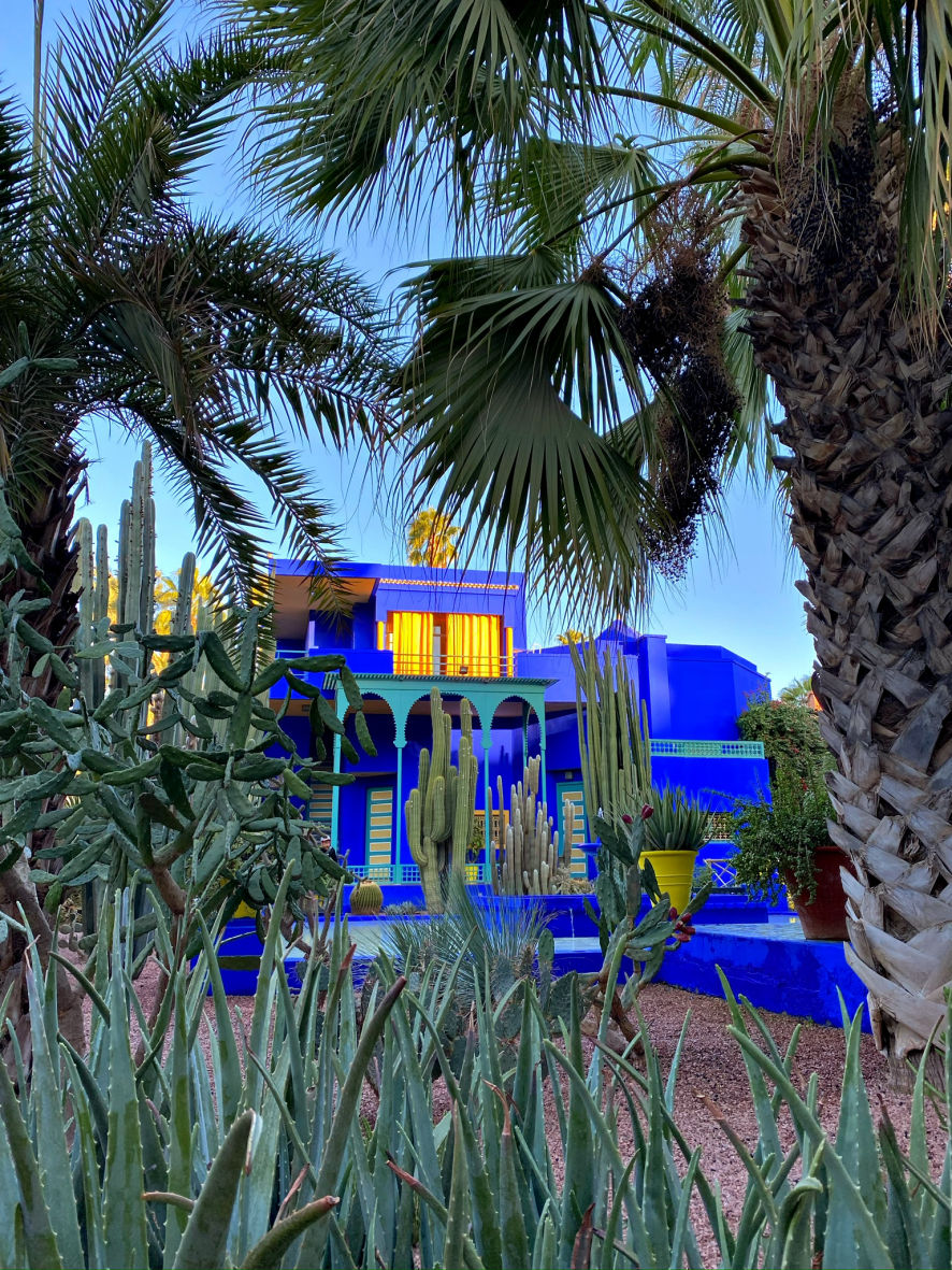 Les cactus du Jardin Majorelle