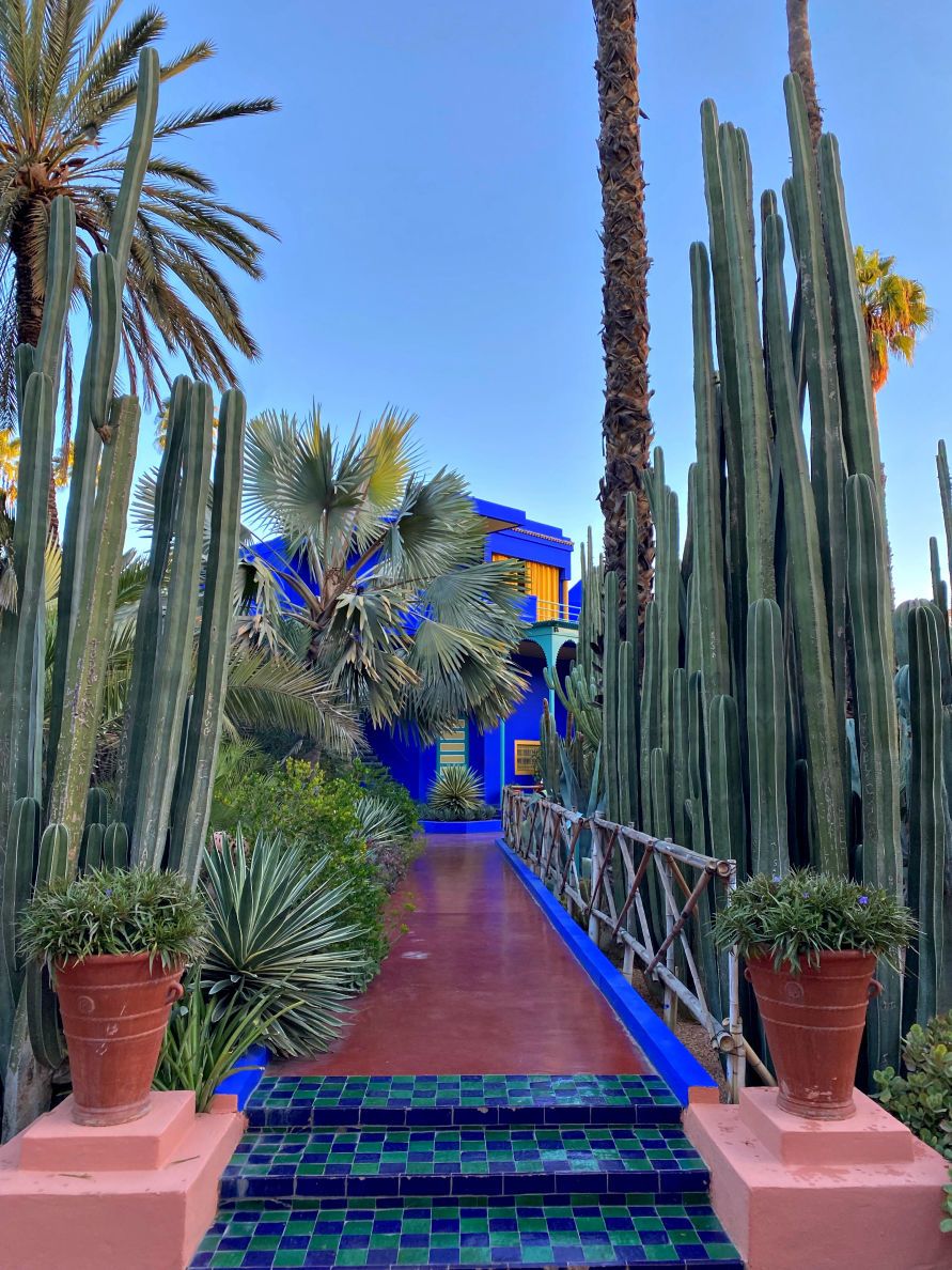 Le Jardin Majorelle à Marrakech