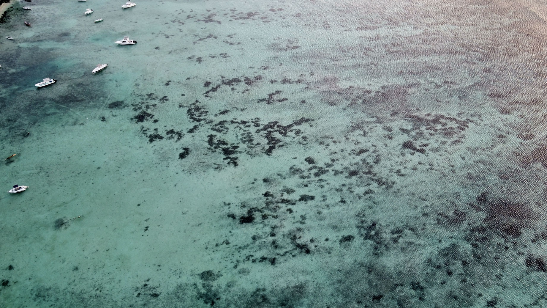 Trou-aux-Biches et la barrière de corail vus de drone